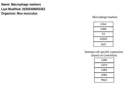 Macrophage markers