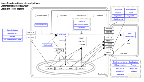 Drug induction of bile acid pathway