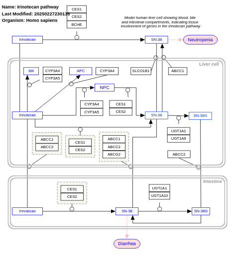 Irinotecan pathway