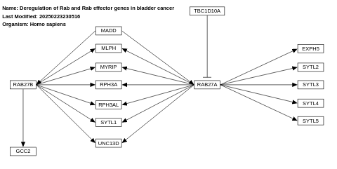 Deregulation of Rab and Rab effector genes in bladder cancer