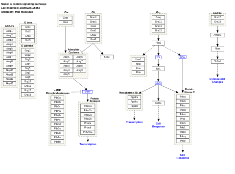 G protein signaling pathways