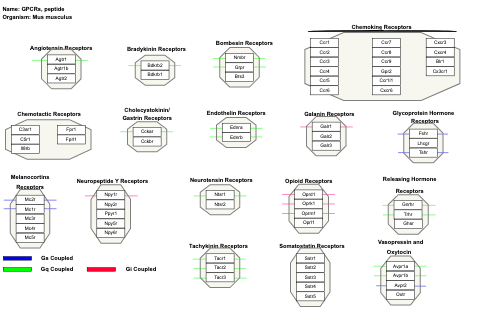 GPCRs, peptide