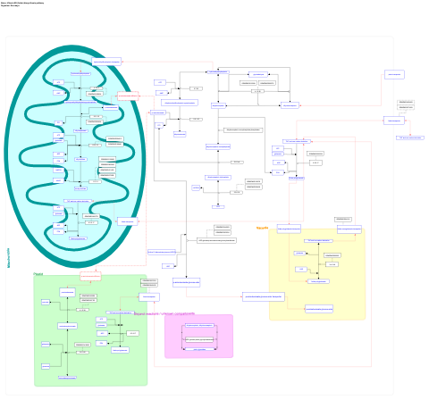 Vitamin B9 (folate) biosynthesis pathway