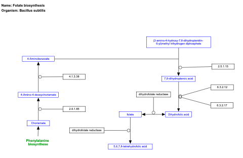 Folate biosynthesis