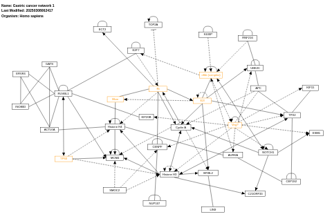 Gastric cancer network 1