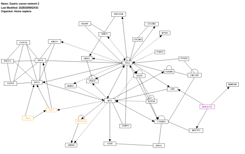 Gastric cancer network 2