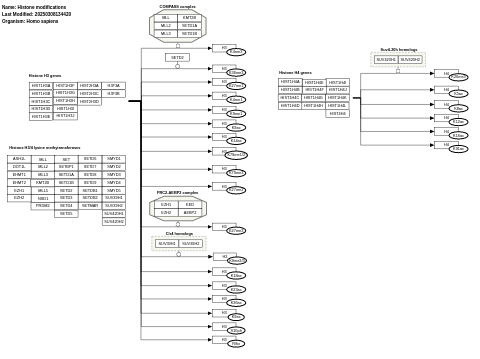 Histone modifications