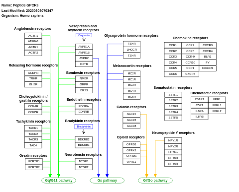 Peptide GPCRs