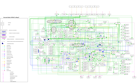 TNF-alpha NF-kB signaling pathway