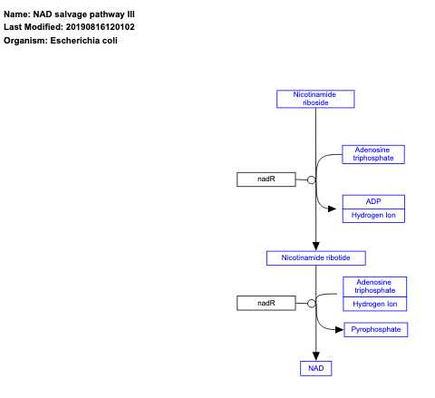 NAD salvage pathway III