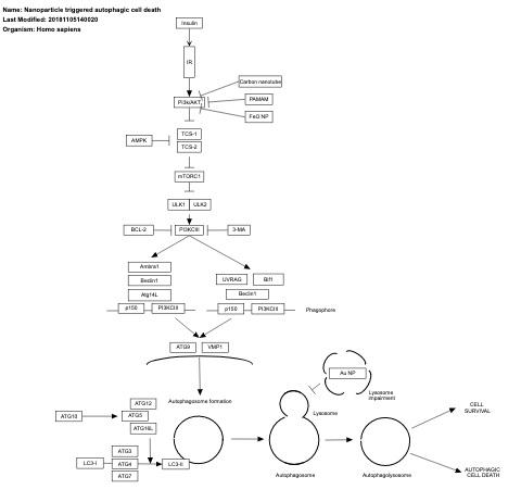 Nanoparticle triggered autophagic cell death