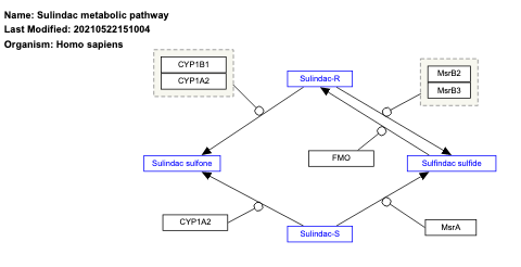 Sulindac metabolic pathway