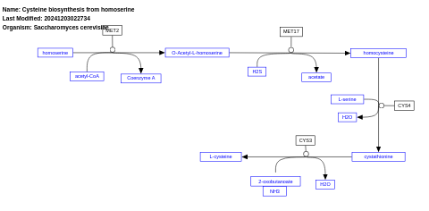 Cysteine biosynthesis from homoserine