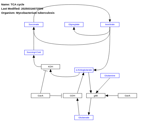 TCA cycle