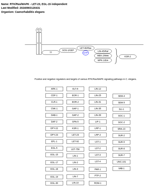 RTK/Ras/MAPK -  LET-23, EGL-15 independent