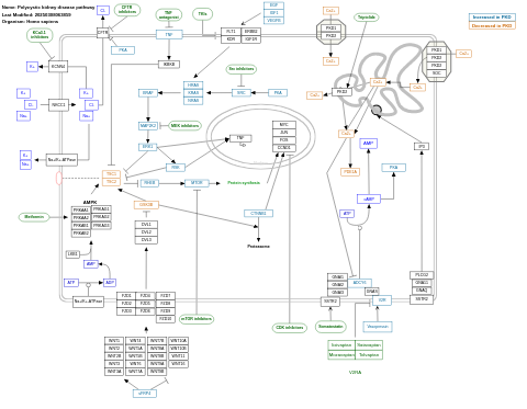 Polycystic kidney disease pathway