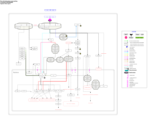 Aryl hydrocarbon receptor pathway