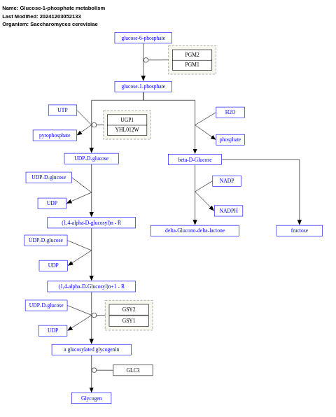 Glucose-1-phosphate metabolism