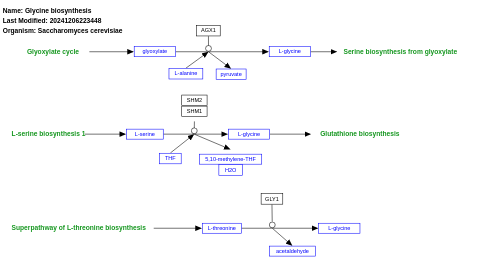 Glycine biosynthesis