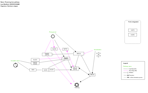 Flowering time pathway