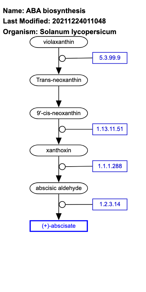 ABA biosynthesis