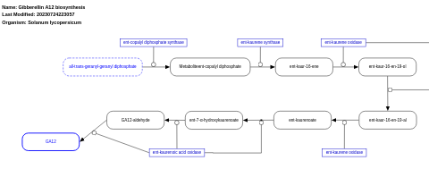 Gibberellin A12 biosynthesis