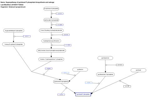 Superpathway of pyridoxal 5'-phosphate biosynthesis and salvage