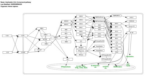 Interleukin-1 (IL-1) structural pathway