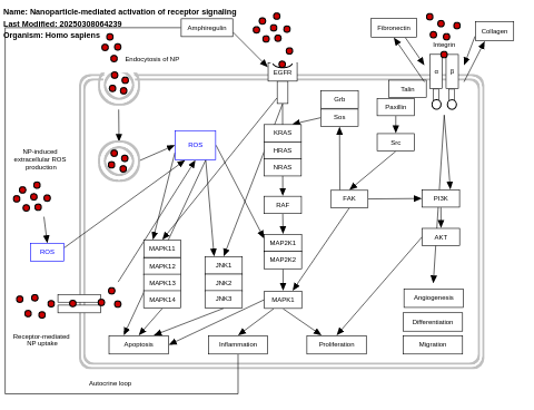 Nanoparticle-mediated activation of receptor signaling