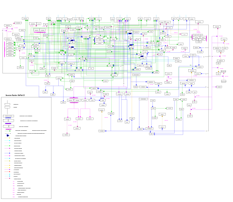 B cell receptor signaling pathway