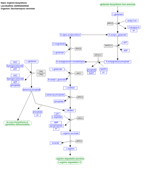 Arginine biosynthesis