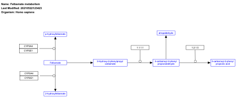 Felbamate metabolism