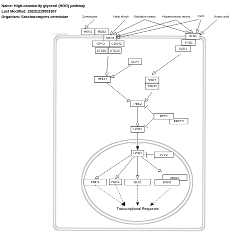 High-osmolarity glycerol (HOG) pathway