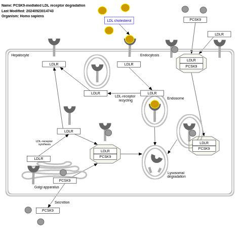 PCSK9-mediated LDL receptor degradation