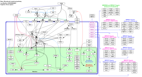 Mesodermal commitment pathway