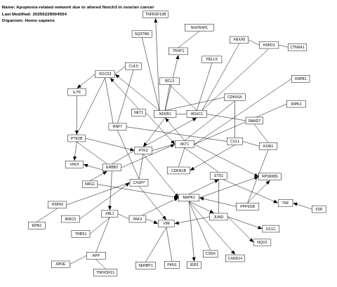 Apoptosis-related network due to altered Notch3 in ovarian cancer