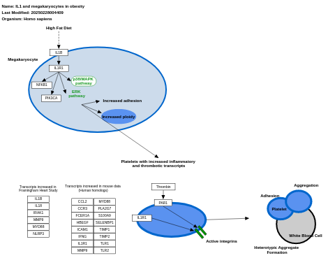 IL1 and megakaryocytes in obesity