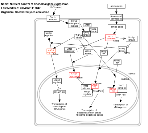 Nutrient control of ribosomal gene expression