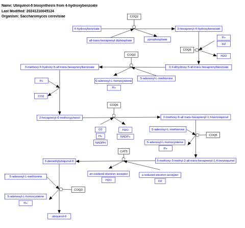 Upiquinone Q prenylation