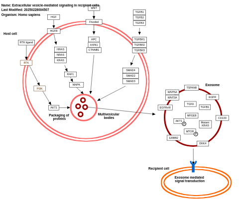 Extracellular vesicle-mediated signaling in recipient cells