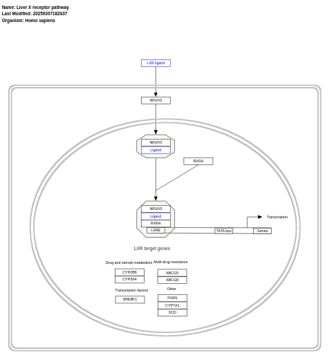 Liver X receptor pathway