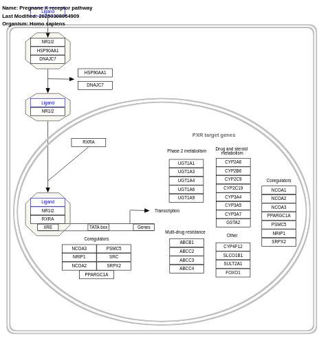 Pregnane X receptor pathway