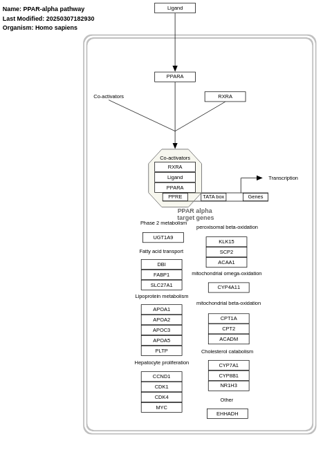 PPAR-alpha pathway