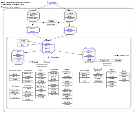 Glucocorticoid receptor pathway