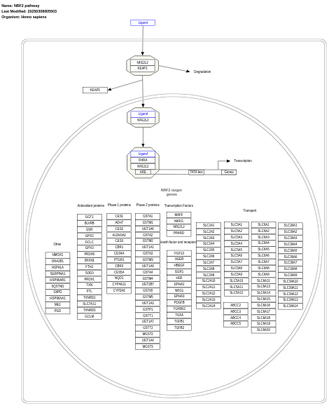 NRF2 pathway