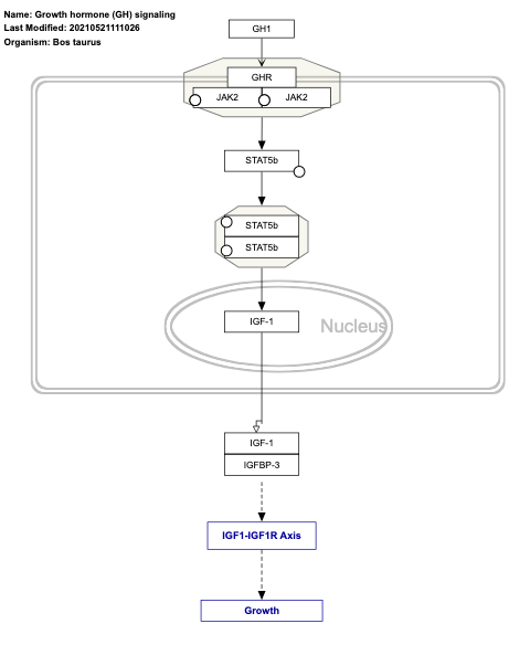 Growth hormone (GH) signaling