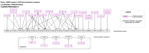 miRNA targets in ECM and membrane receptors