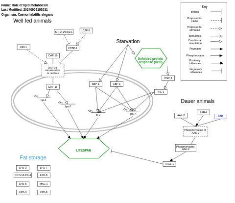 Role of lipid metabolism