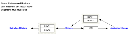 Histone modifications