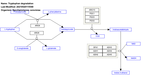 Tryptophan degradation